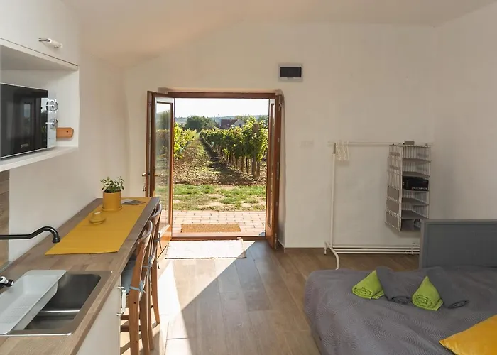 Birtok Tulipanos Appartement Tagyon